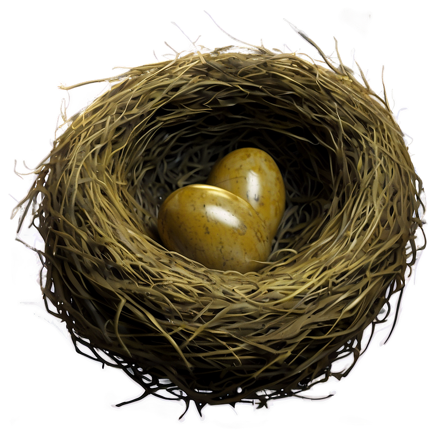 Bird Nest With Feathers Png 31