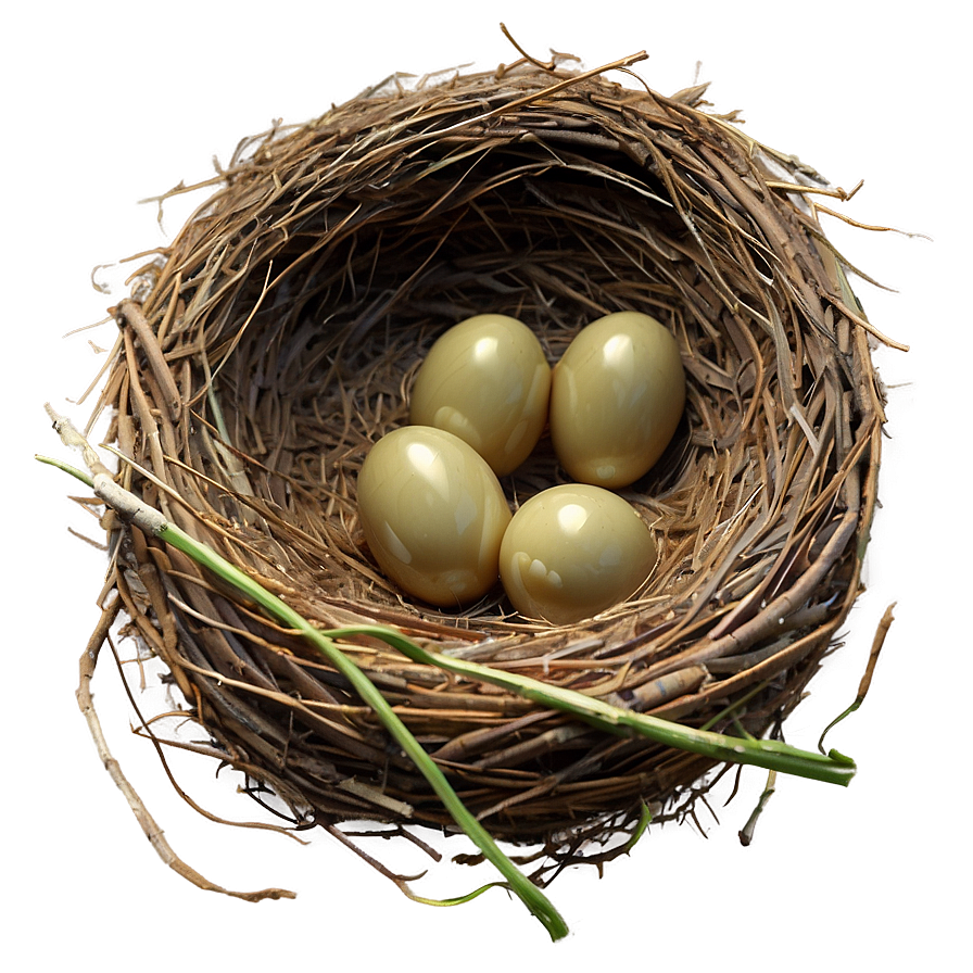 Bird Nest With Sparrow Png Moq