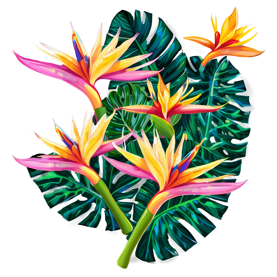 Bird Of Paradise Apparel Print Png Rwi46