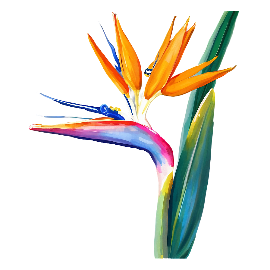 Bird Of Paradise Botanical Print Png 26