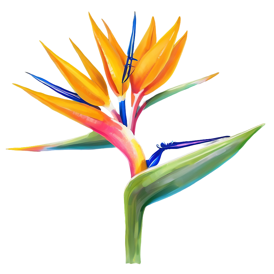 Bird Of Paradise Flower Png Lkm32