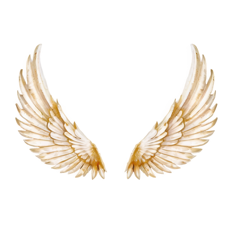 Bird Wings Png 05032024