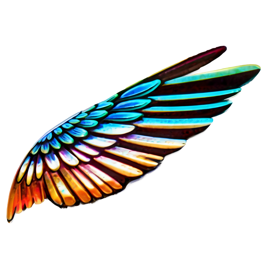 Bird Wings Png 22