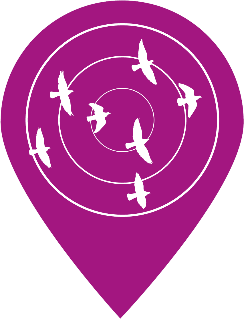 Birdsin Flight Navigation Icon