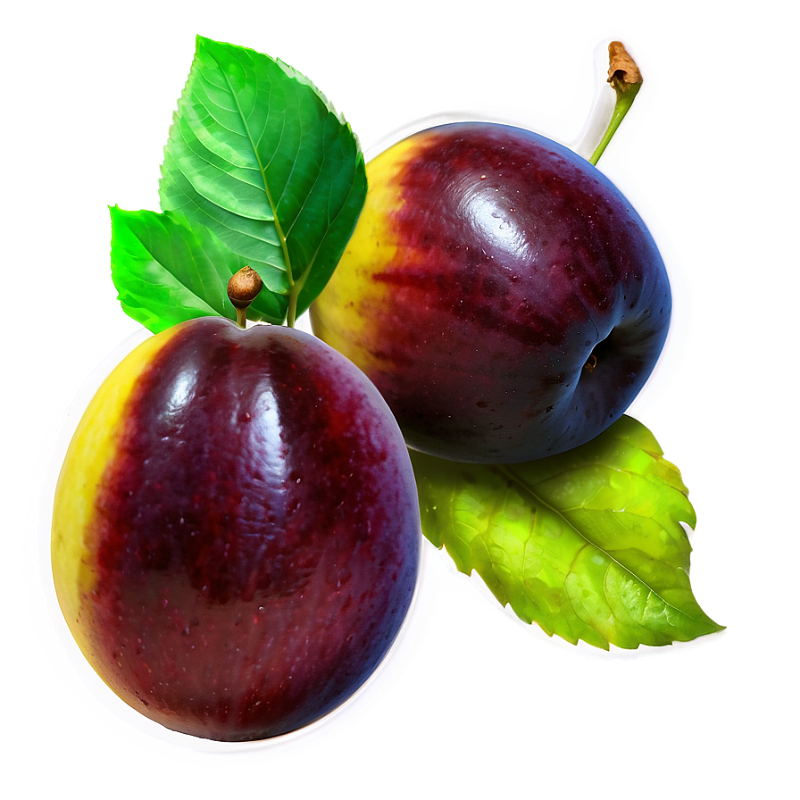 Bitten Plum Png Ilp