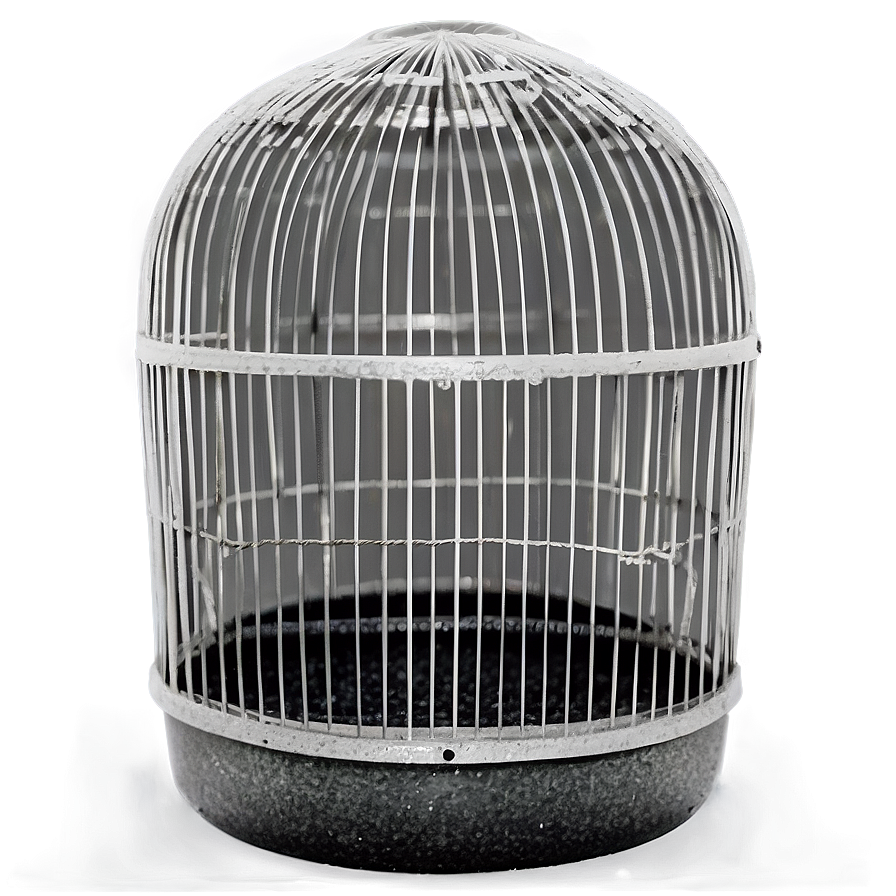 Black And White Bird Cage Png Ycf