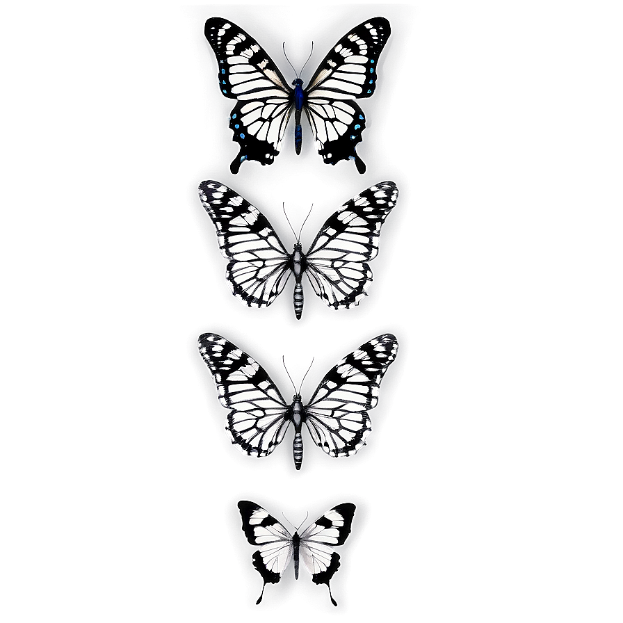 Black And White Butterfly Png Ufb49