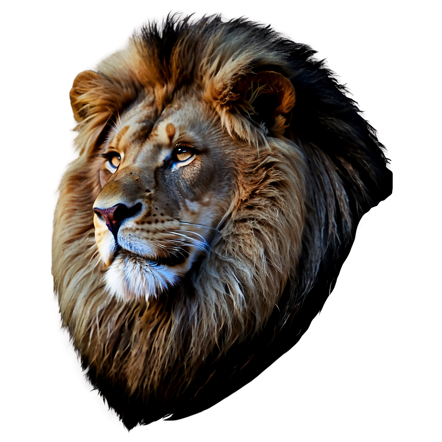 Black And White Lion Png Jdf