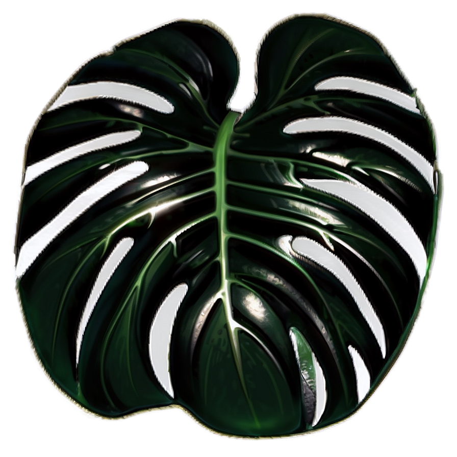 Black And White Monstera Png Tew