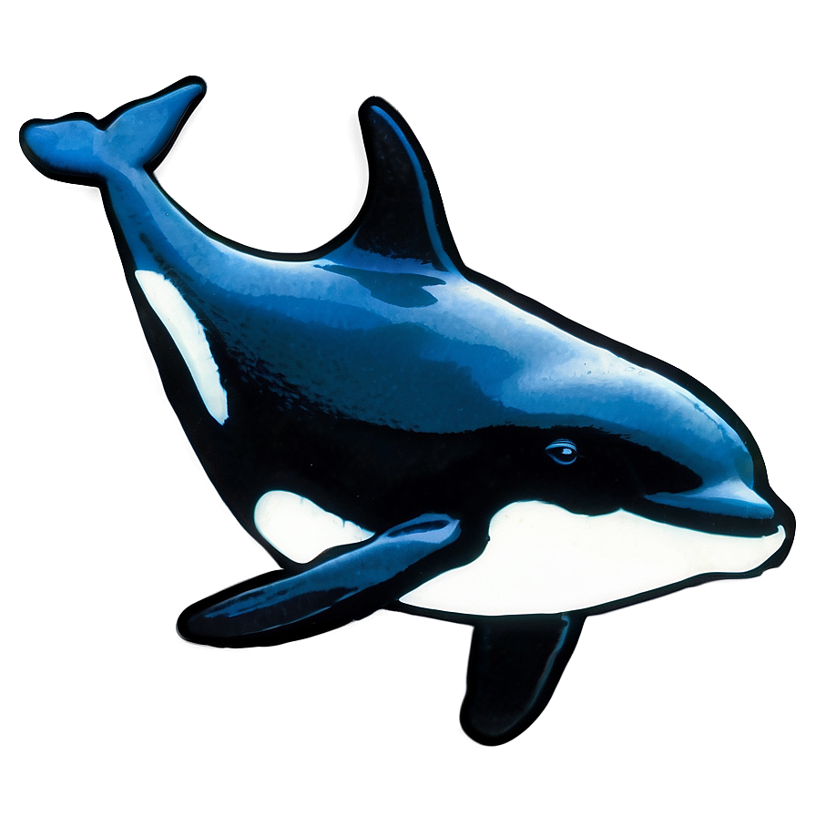 Black And White Orca Png Fgc12