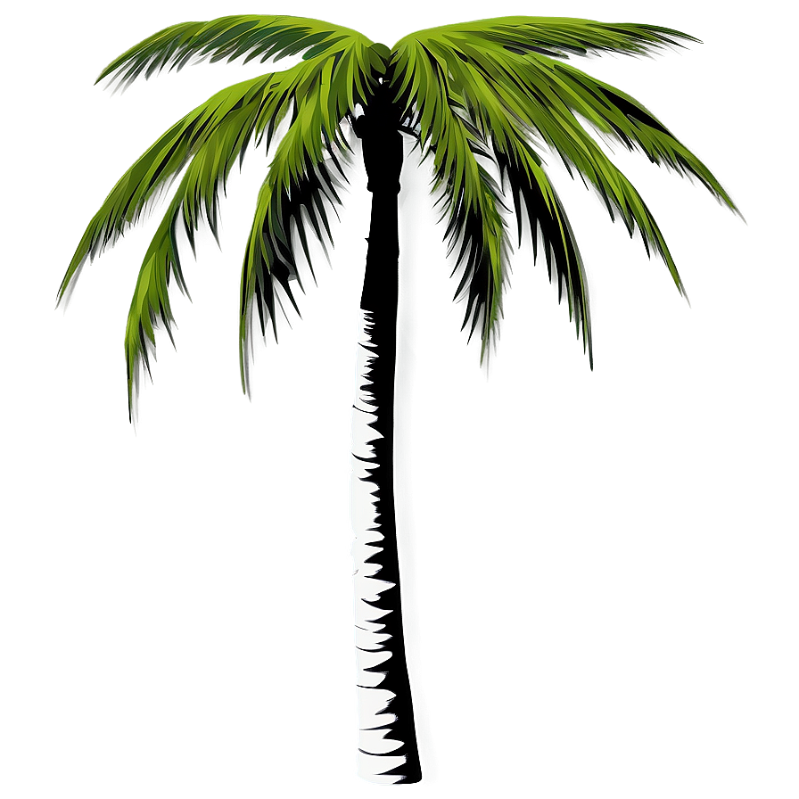 Black And White Palm Tree Png 04292024