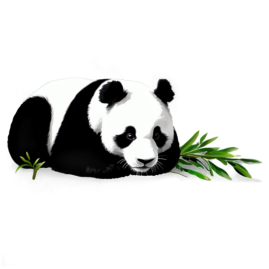 Black And White Panda Png 05062024