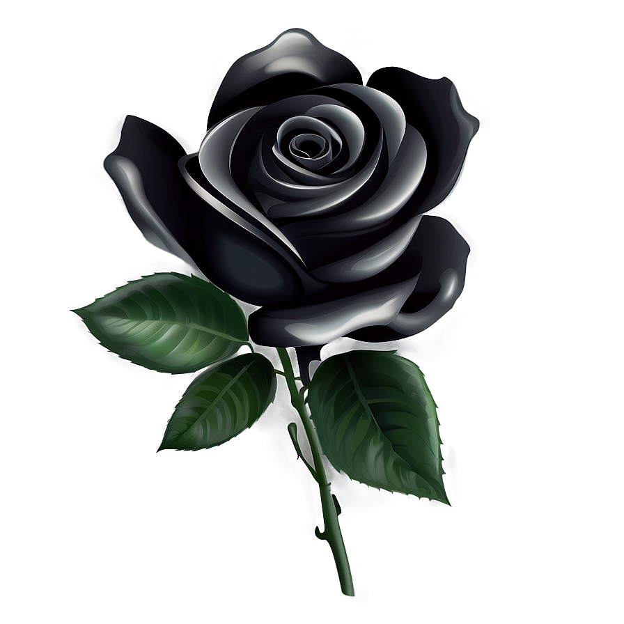 Black And White Vector Rose Png 61