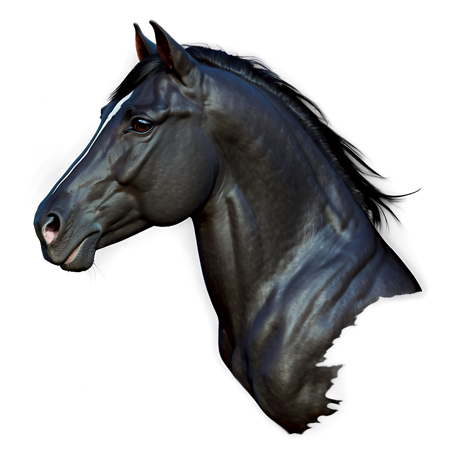 Black Andalusian Horse Beauty Png 06262024