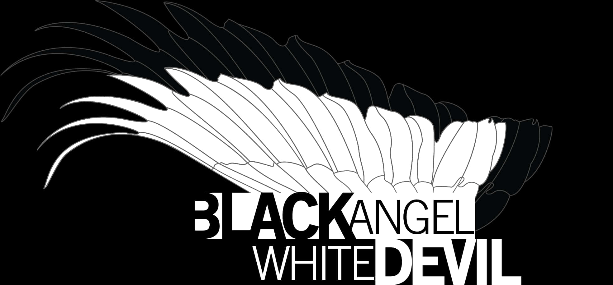 Black Angel White Devil Artwork