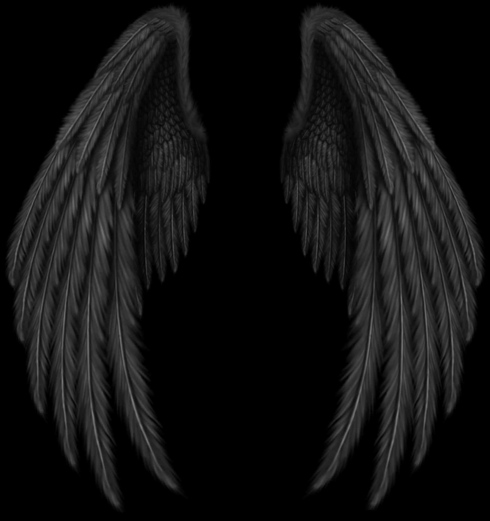 Black Angel Wings