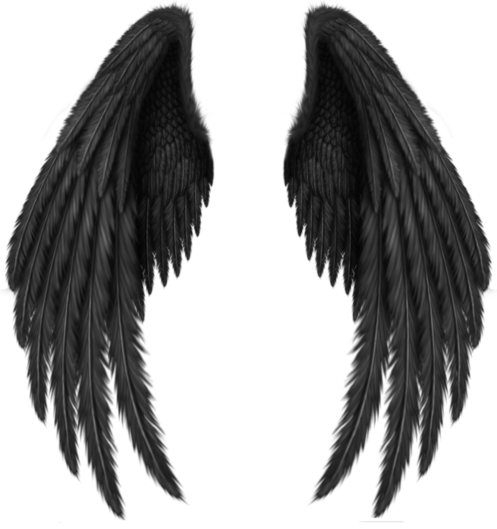 Black Angel Wings