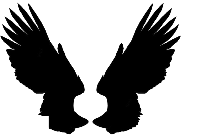 Black Angel Wings Silhouette