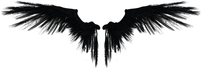 Black Angel Wings Spread