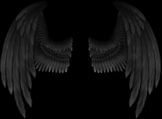 Black Angel Wingson Dark Background.jpg