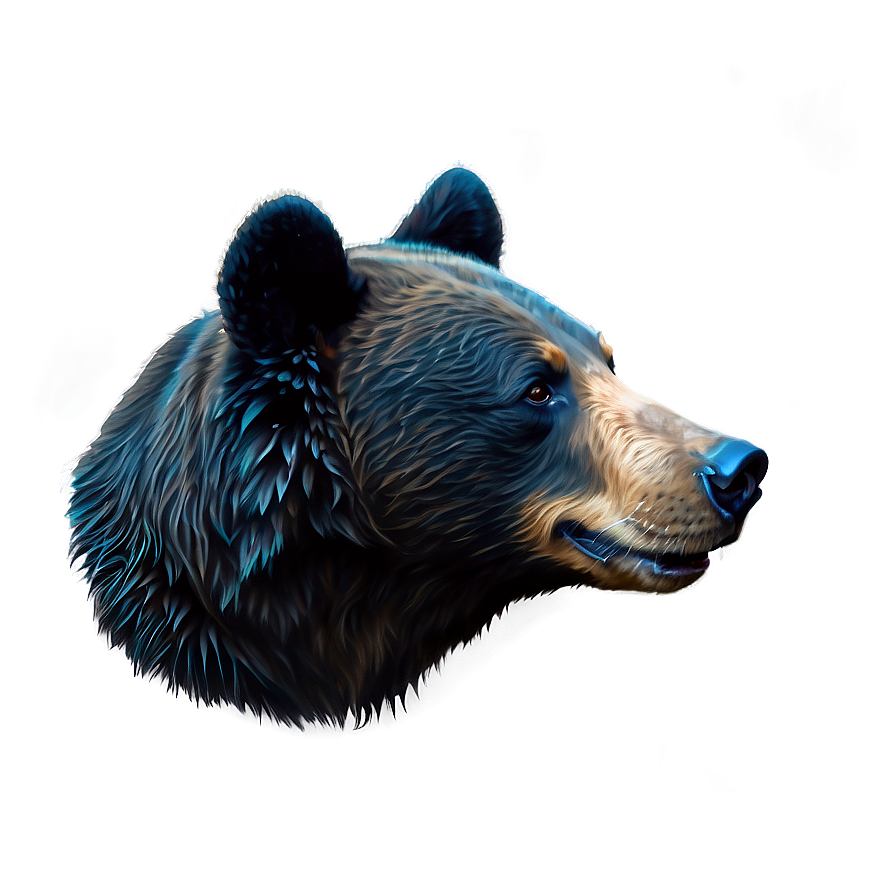 Black Bear Head Png 74