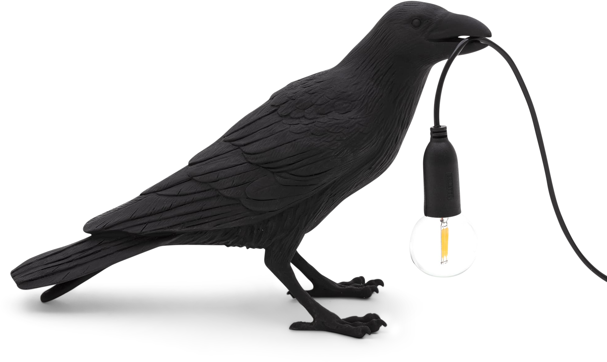 Black Bird Holding Light Bulb