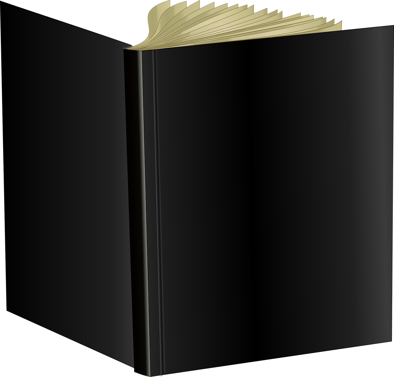 Black Blank Book Cover