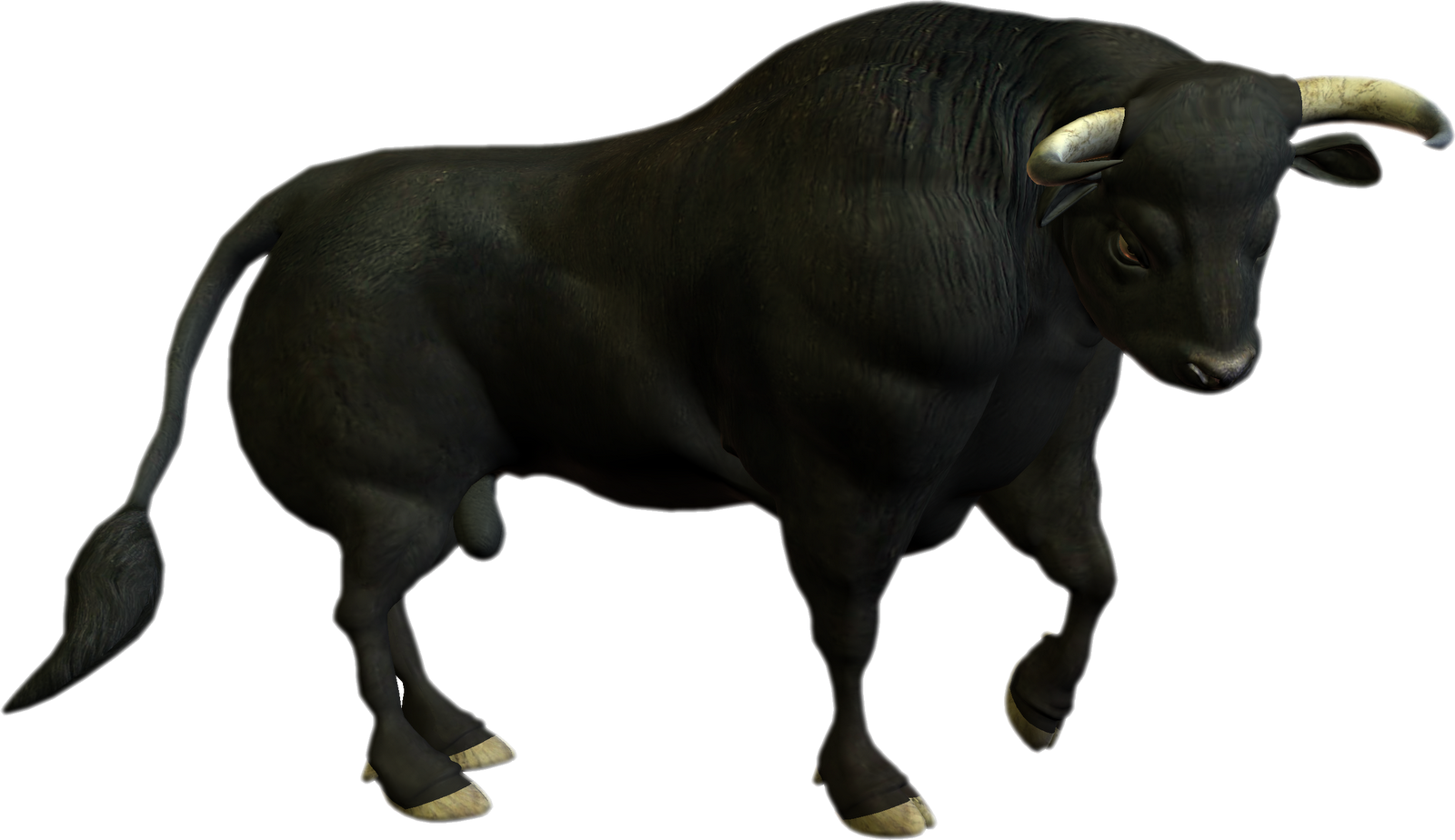 Black Bull3 D Model