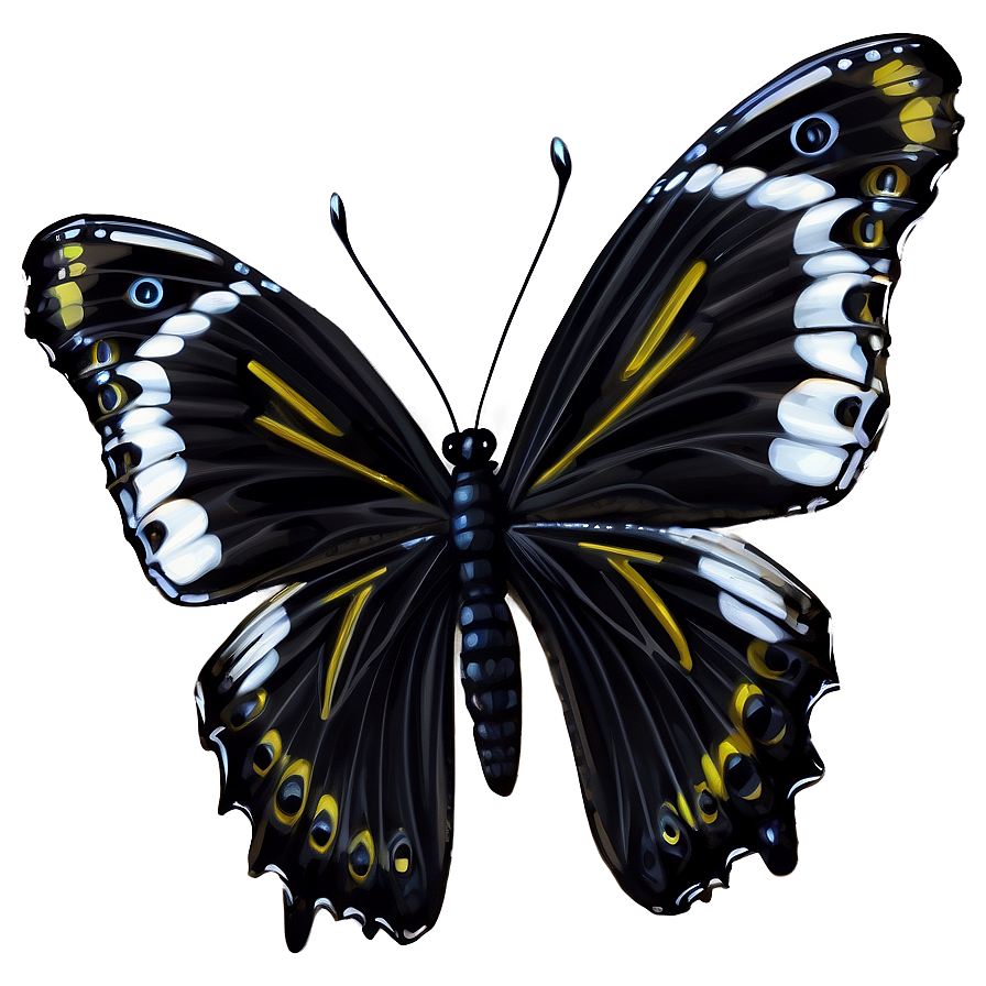 Black Butterfly Illustration Png Imx66