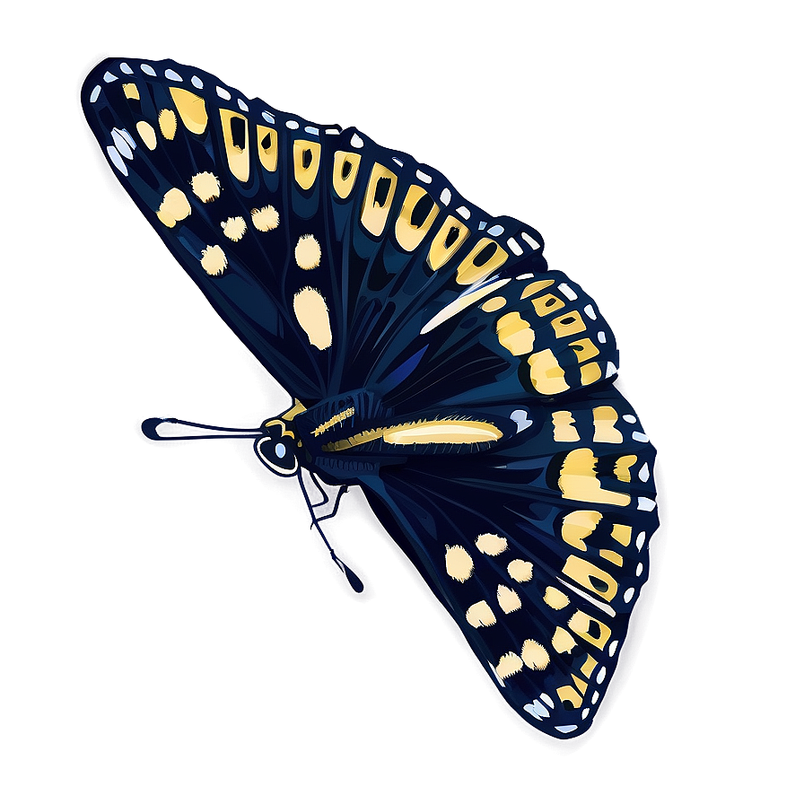 Black Butterfly Illustration Png Rgi