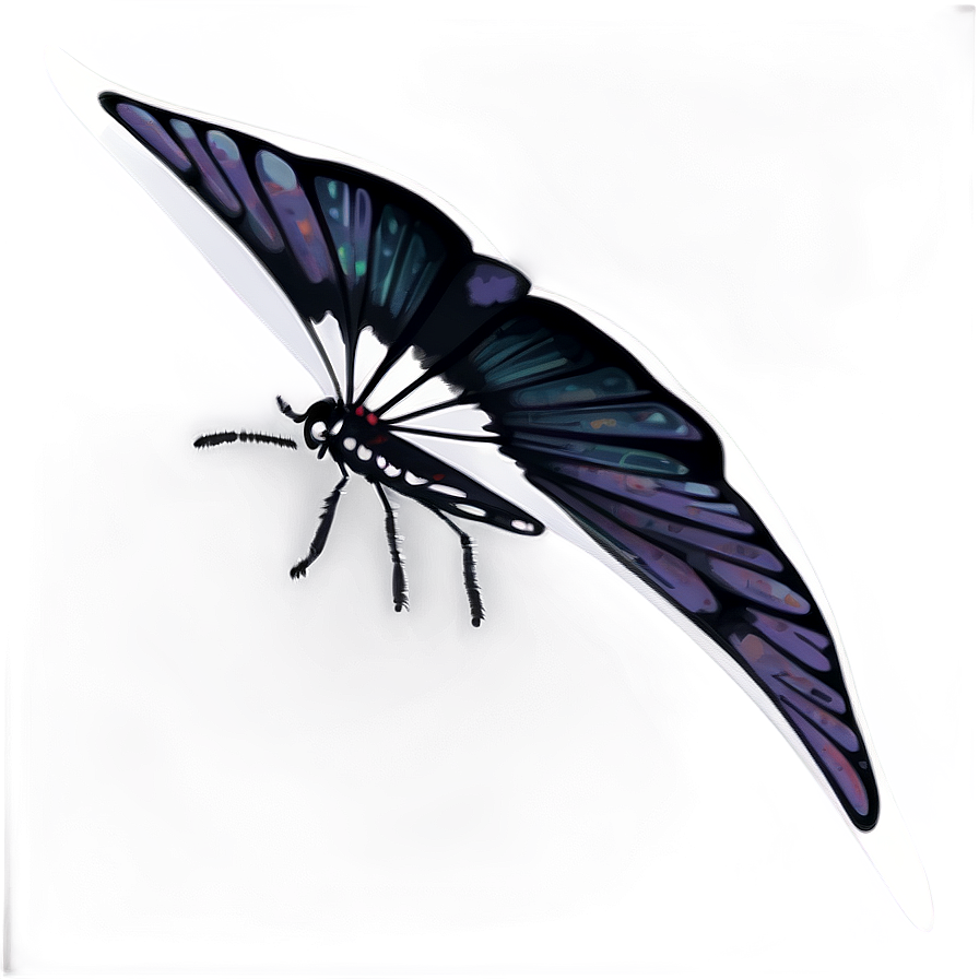 Black Butterfly On White Png 45