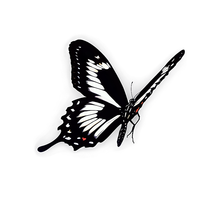 Black Butterfly Profile Png Lyx