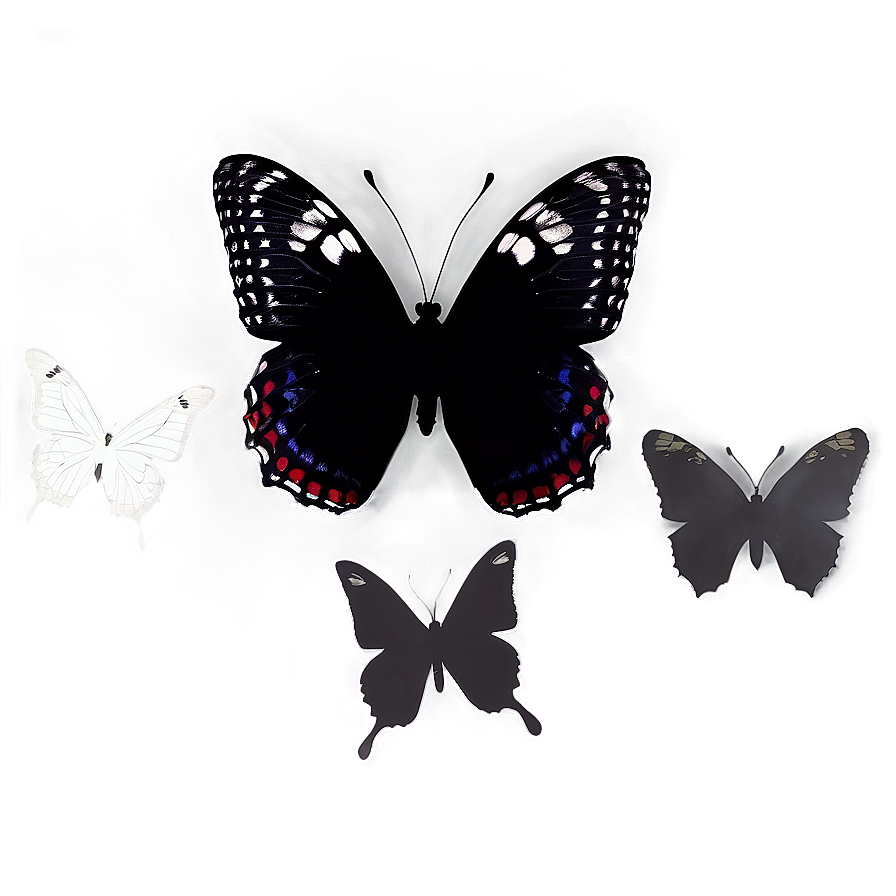 Black Butterfly Silhouette Png 06112024