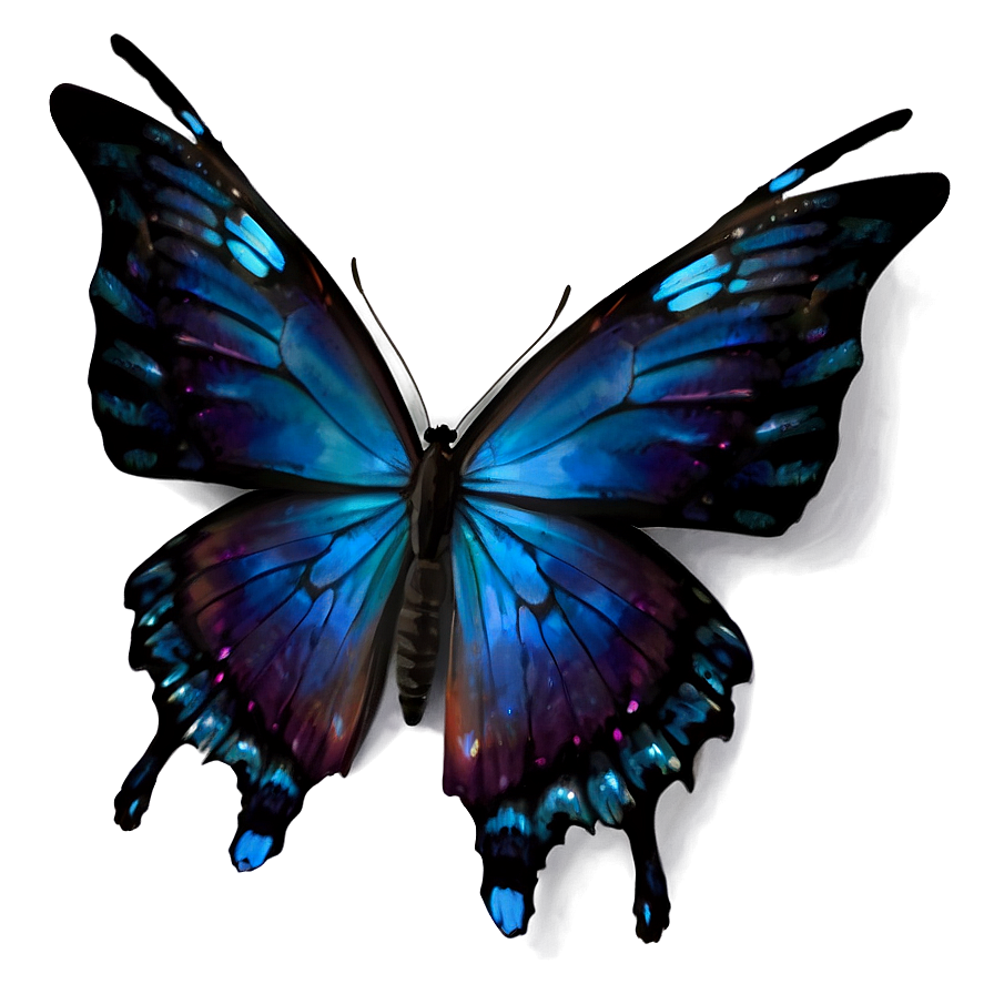 Black Butterfly With Blue Highlights Png Guf77