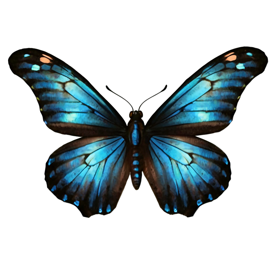 Black Butterfly With Blue Highlights Png Vta