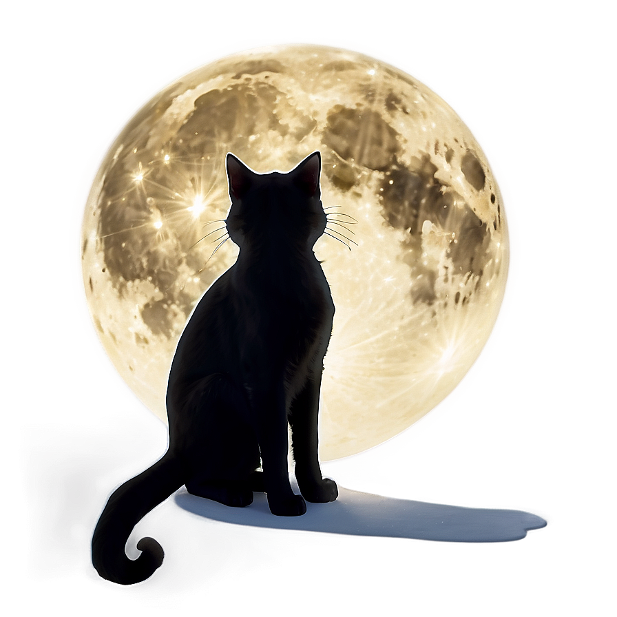 Black Cat In Moonlight Png Ttl93