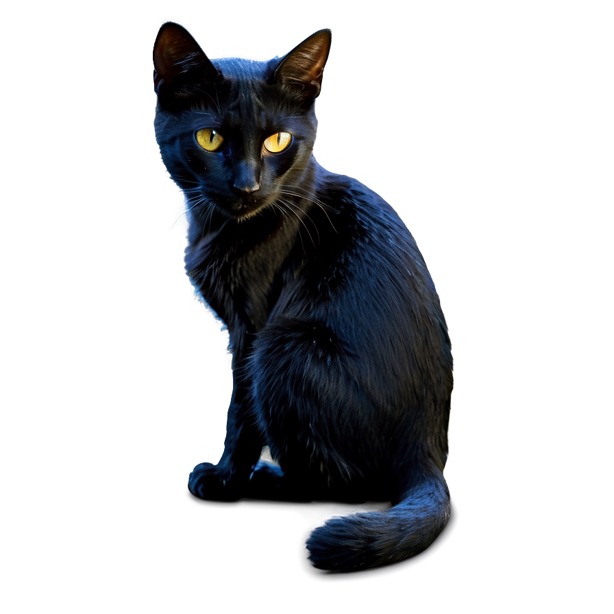 Black Cat In Shadow Png Wqk