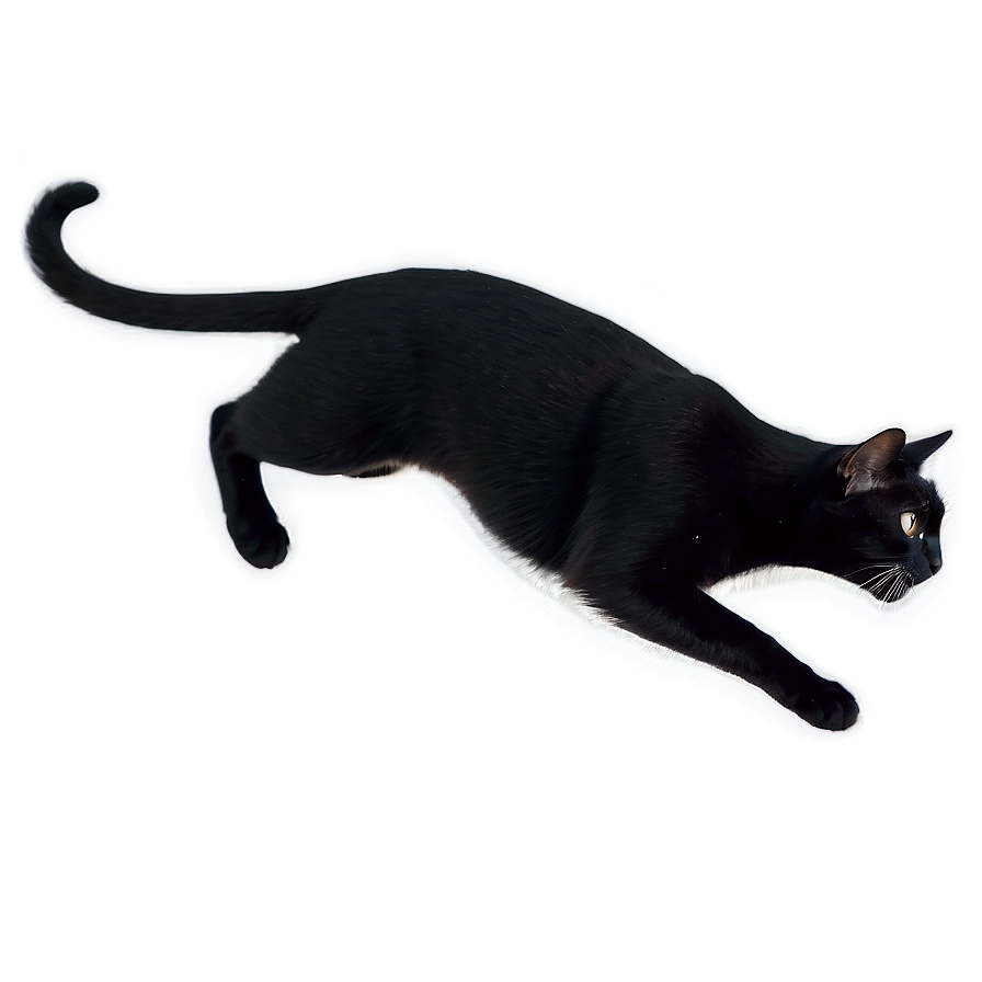 Black Cat Leaping Png Xyi