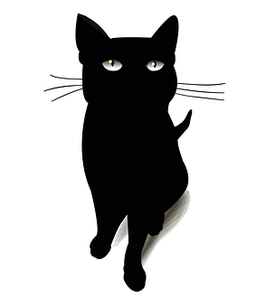 Black Cat Silhouette Illustration