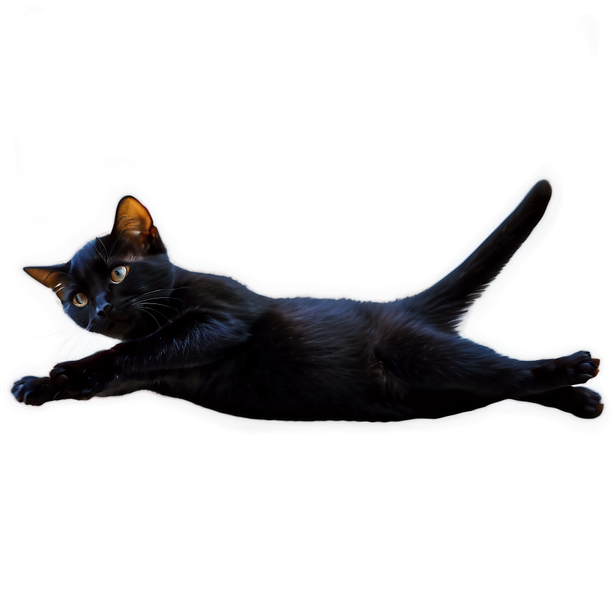 Black Cat Stretching Png 57