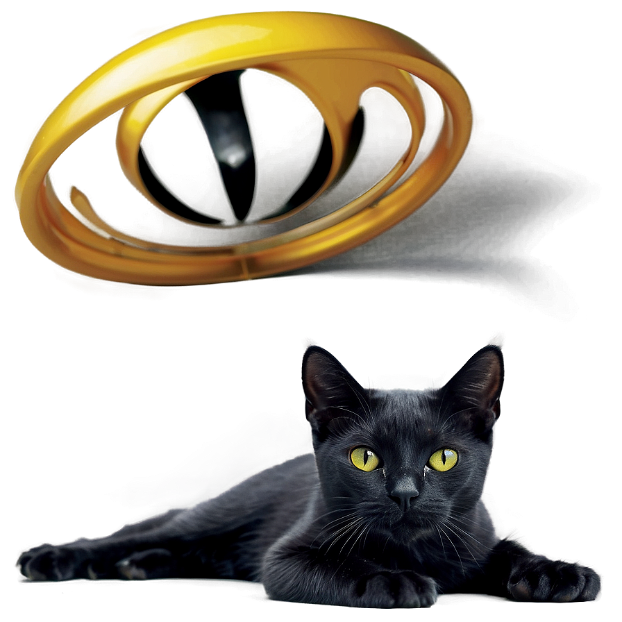 Black Cat With White Paws Png 50