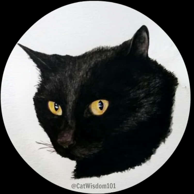 Black Cat Yellow Eyes Artwork