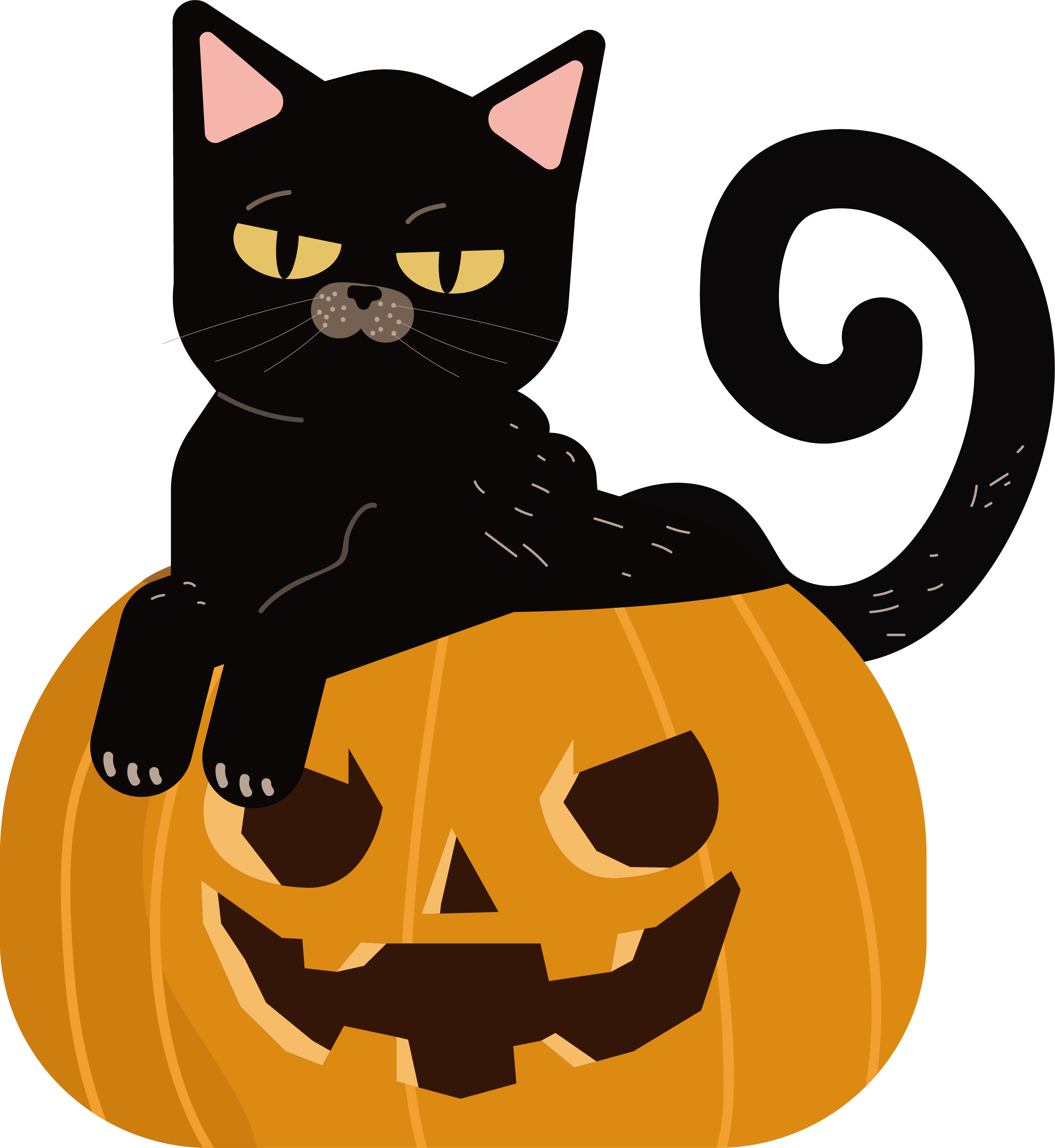 Black Caton Jack O Lantern Halloween