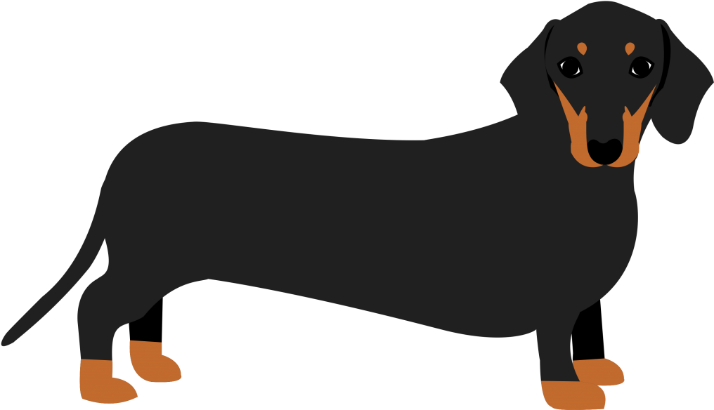 Black Dachshund Illustration.png