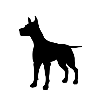 Black Dog Silhouette