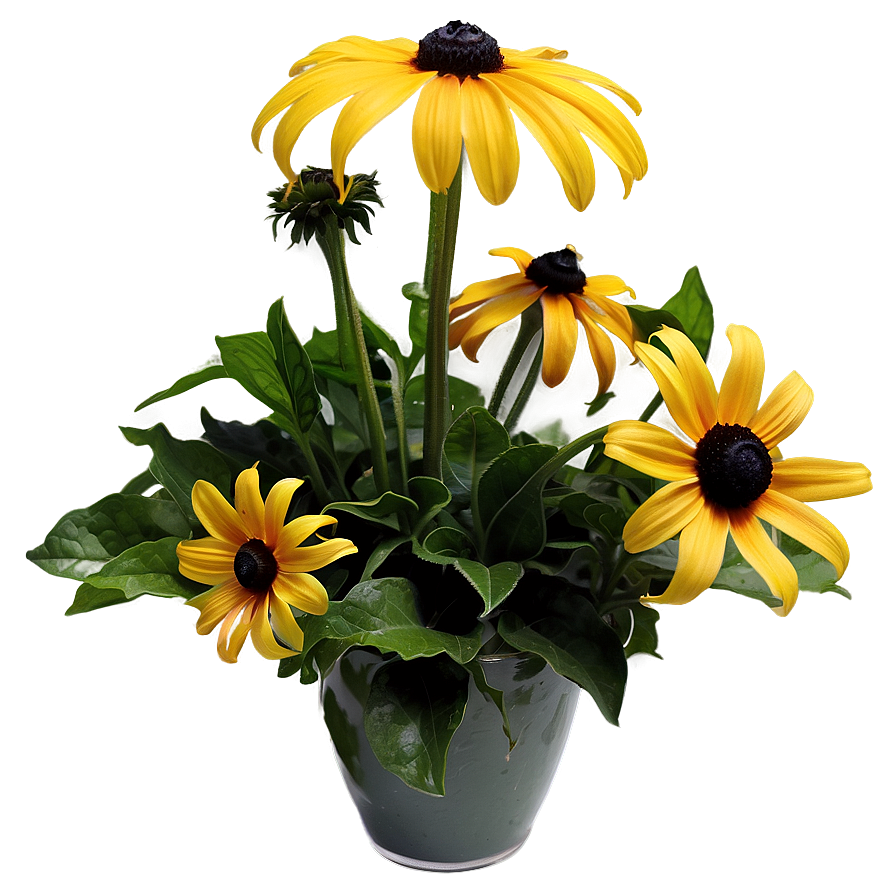 Black Eyed Susan Floral Arrangement Png 18