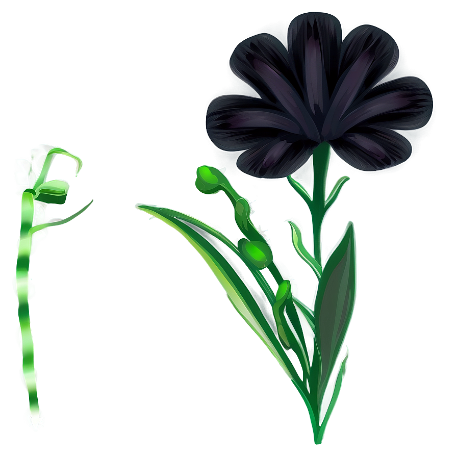 Black Fade Flower Png 05252024