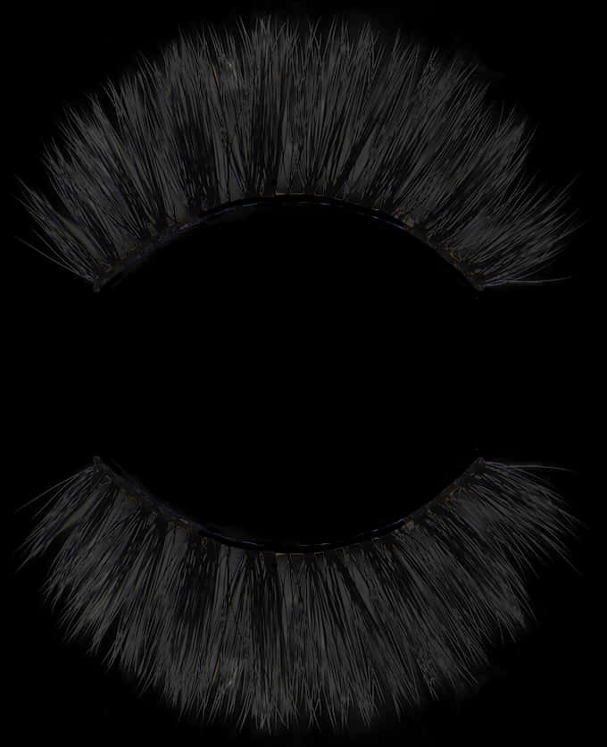 Black_ False_ Eyelashes_ Closeup