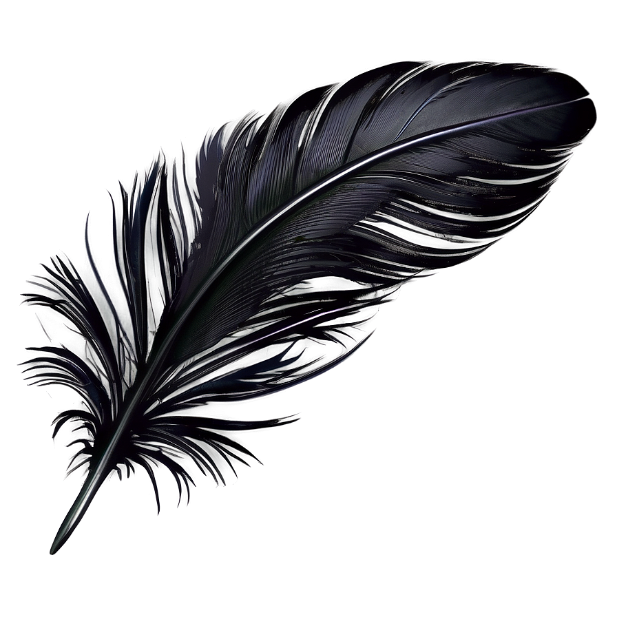 Black Feather Texture Png 56