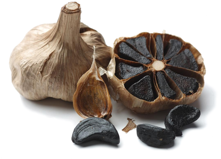 Black Garlic Still Life